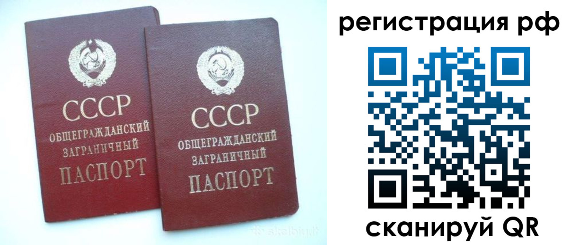 временная регистрация госуслуги в Сельцо
